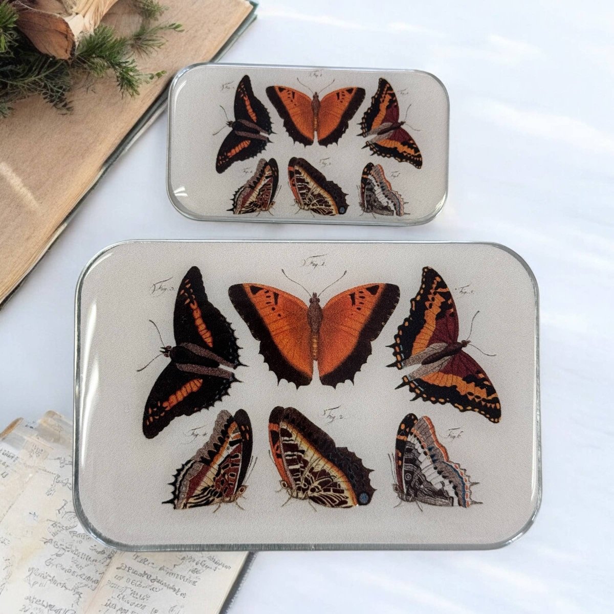 Large Orange Butterflies Notions Tin by Firefly Notes at Wabi Sabi