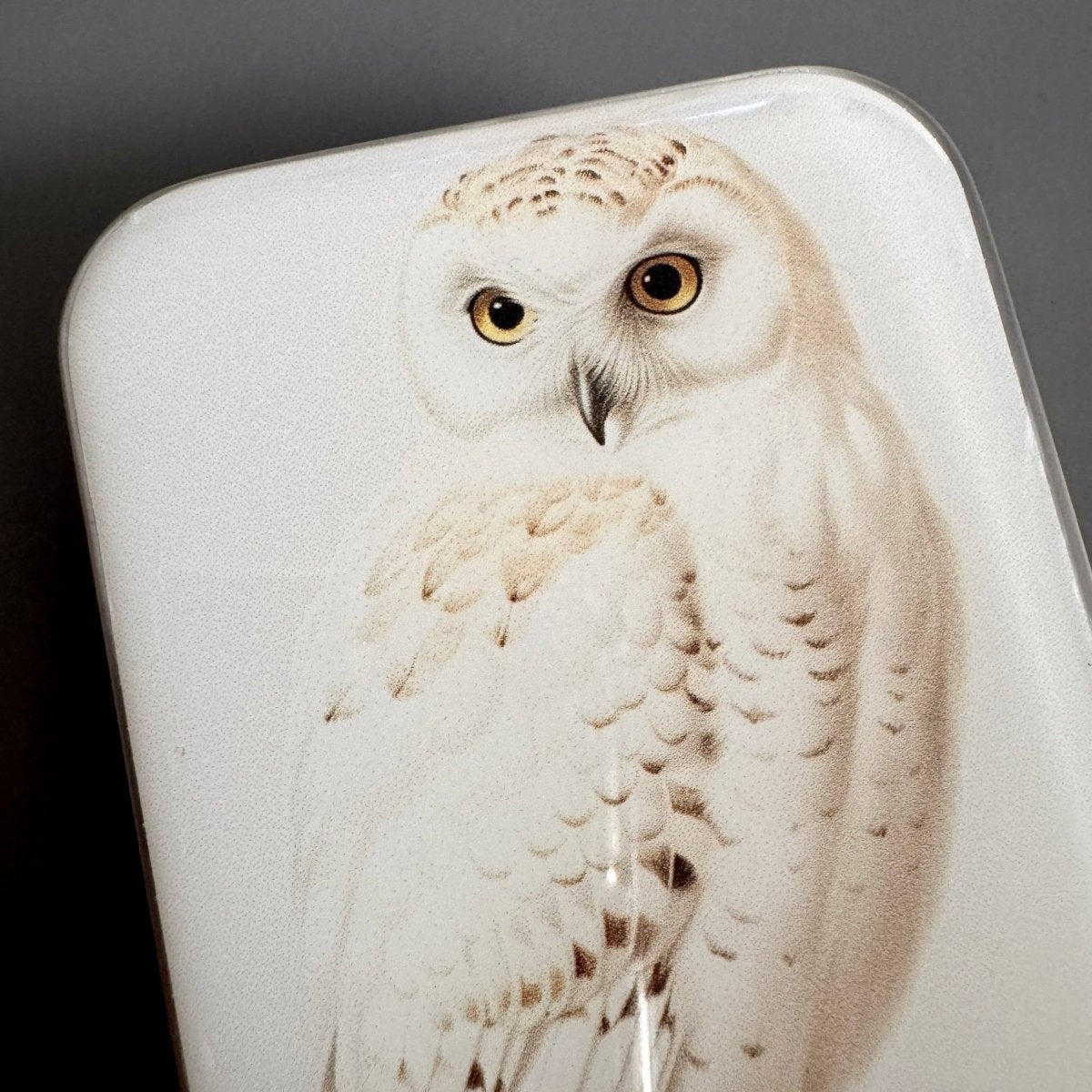 Large Snowy Owl Notions Tin by Firefly Notes at Wabi Sabi