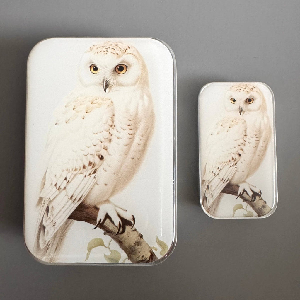 Large Snowy Owl Notions Tin by Firefly Notes at Wabi Sabi
