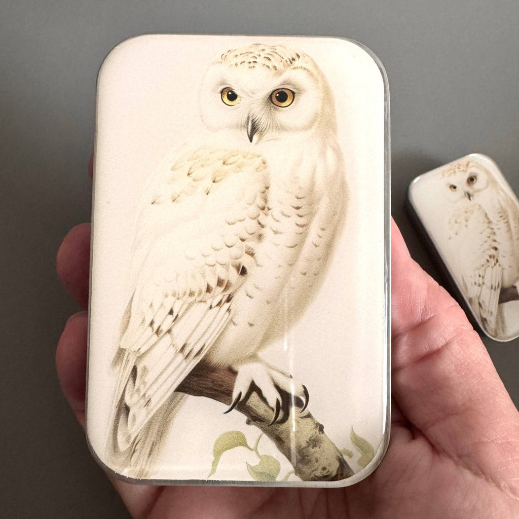 Large Snowy Owl Notions Tin by Firefly Notes at Wabi Sabi
