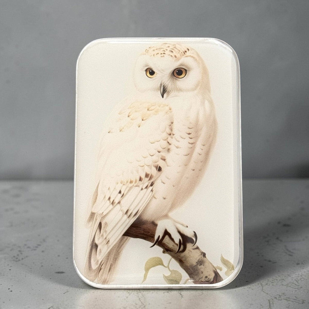 Large Snowy Owl Notions Tin by Firefly Notes at Wabi Sabi