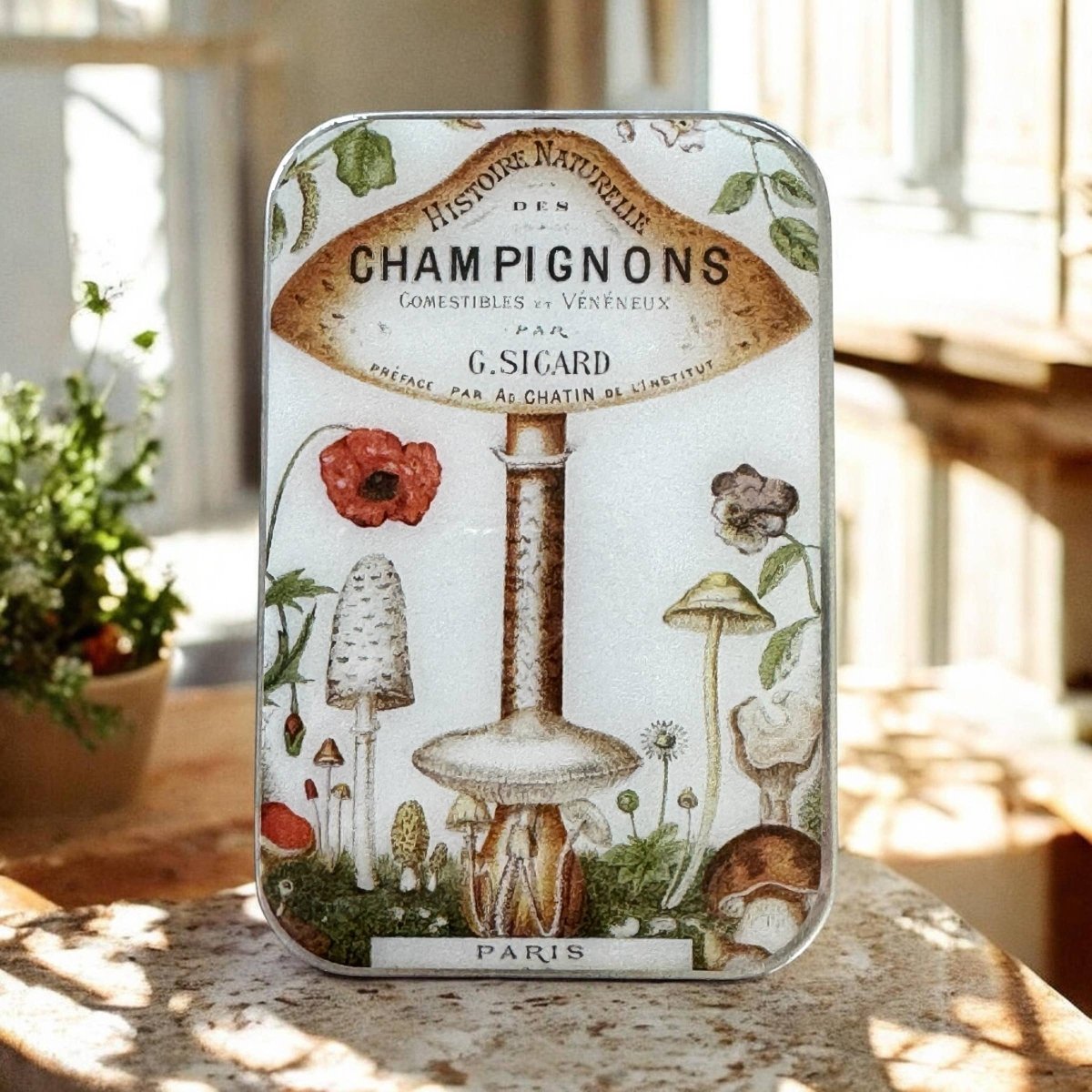 Large Vintage Mushroom Notions Tin by Firefly Notes at Wabi Sabi