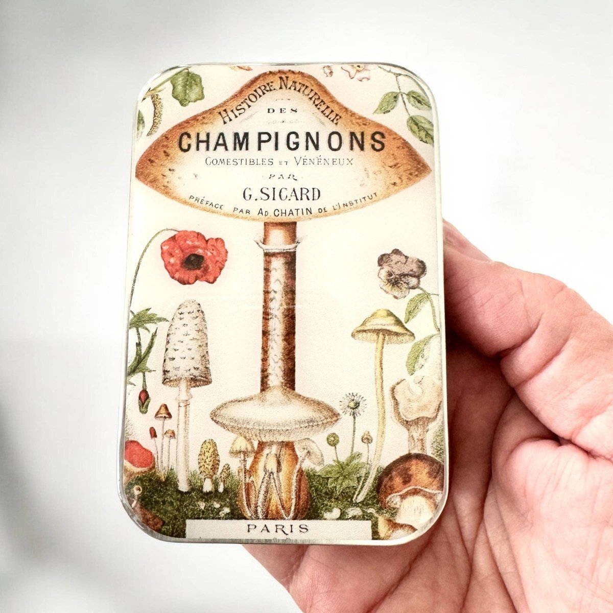 Large Vintage Mushroom Notions Tin by Firefly Notes at Wabi Sabi