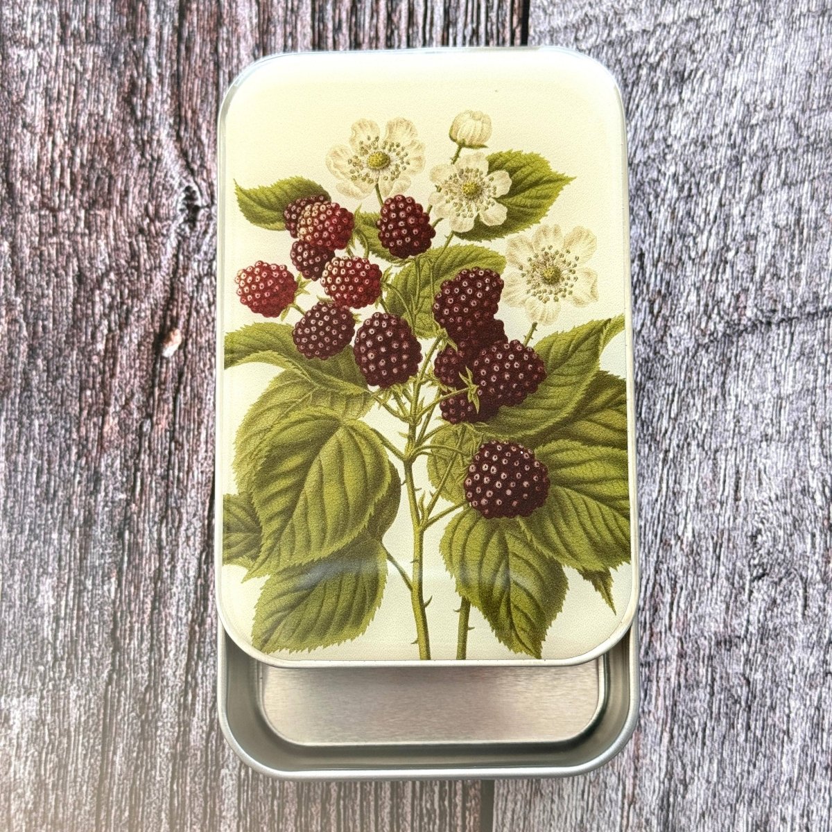 Large Wild Blackberry Botanical Notions Tin by Firefly Notes at Wabi Sabi