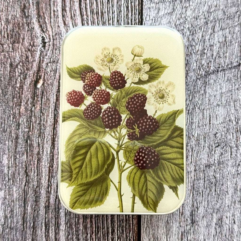 Large Wild Blackberry Botanical Notions Tin by Firefly Notes at Wabi Sabi
