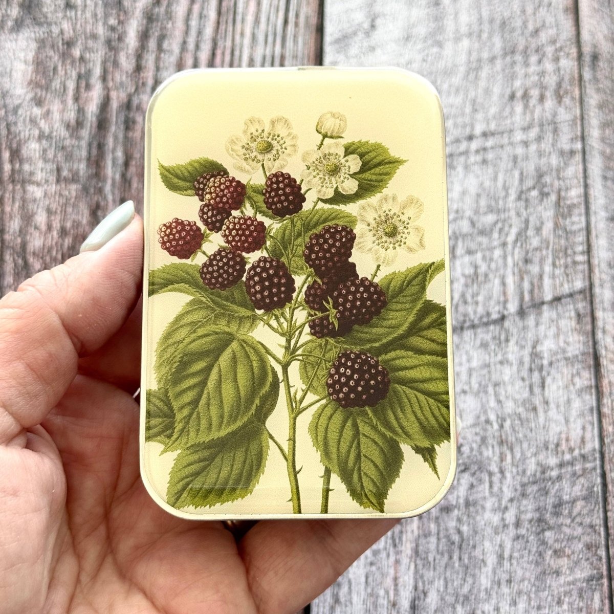 Large Wild Blackberry Botanical Notions Tin by Firefly Notes at Wabi Sabi