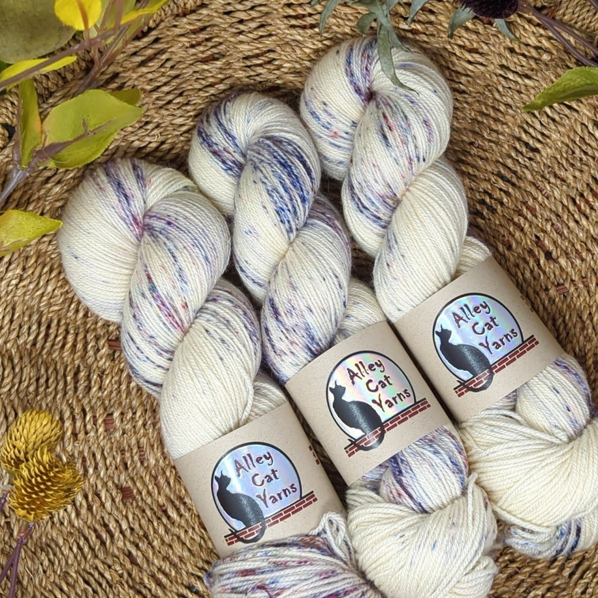 meadow leo bfl sock by alley cat yarns at Wabi Sabi
