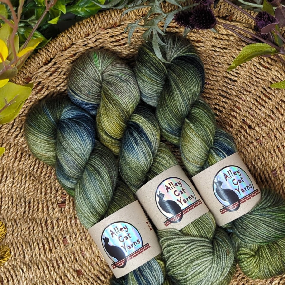 meadow leo bfl sock by alley cat yarns at Wabi Sabi