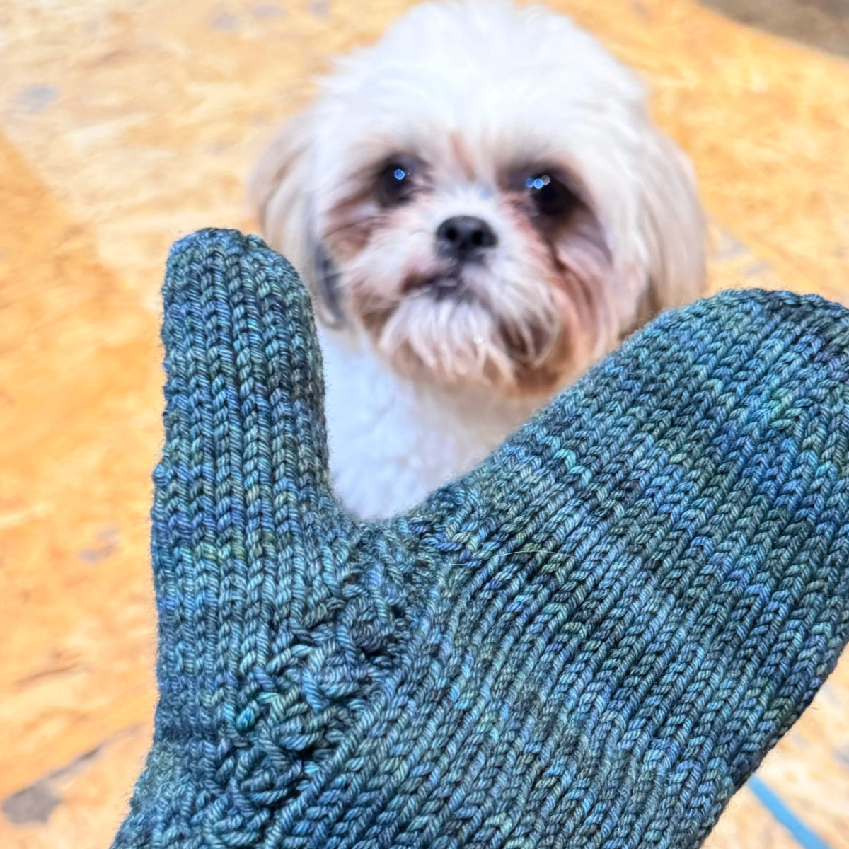 miko's mittens by impertiknits at Wabi Sabi