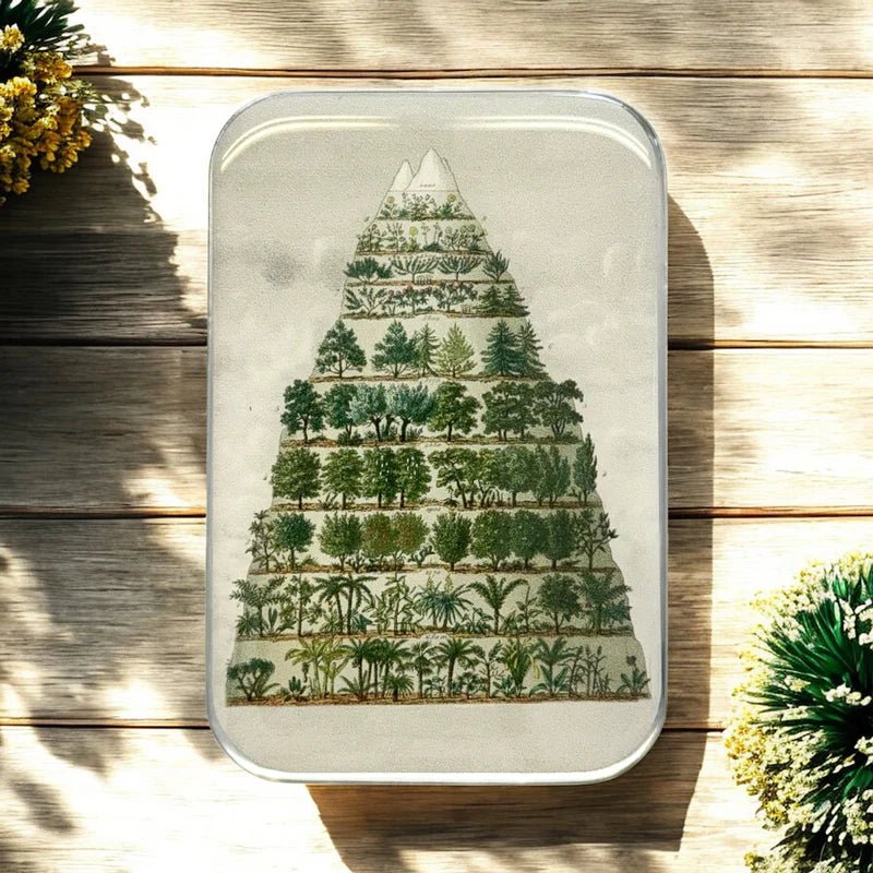 'nature meets nostalgia ' notion tins by firefly notes | Wabi Sabi