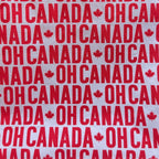 'oh canada ' canada themed project bags: zipper pouch by Doorstopper | Wabi Sabi