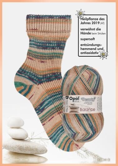 Opal Sock Yarn - 11403 living truth at Wabi Sabi