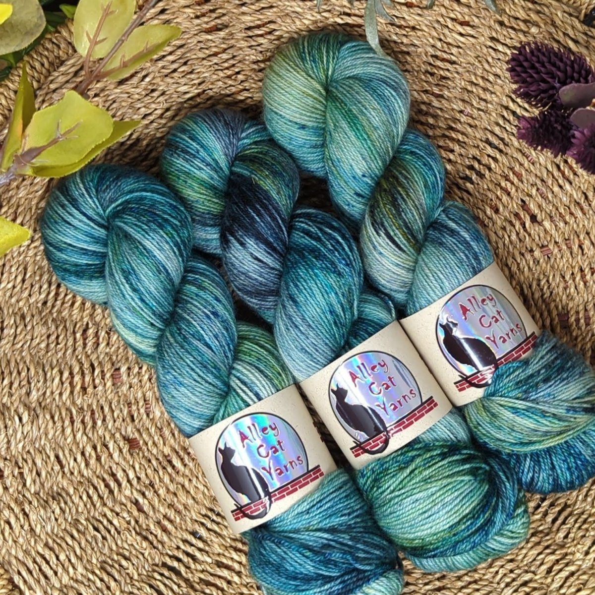 palawan leo bfl sock by alley cat yarns at Wabi Sabi