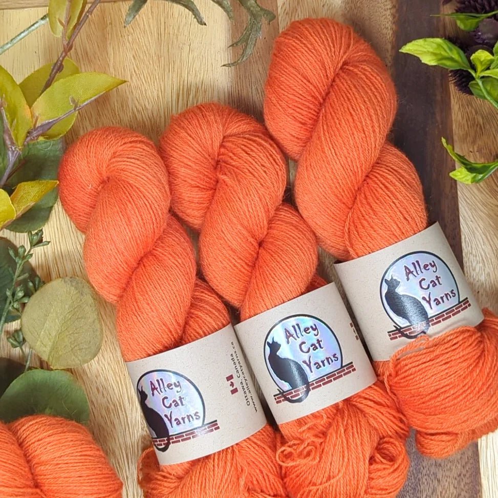 Persimmon ontario sock by alley cat yarns at Wabi Sabi