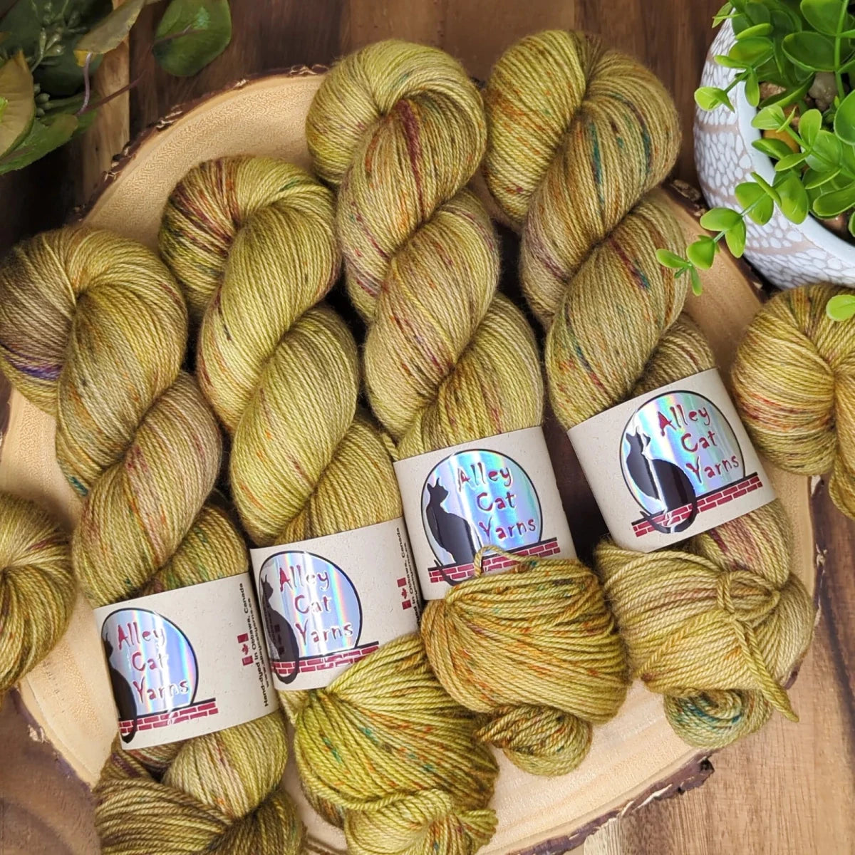 Polypore leo bfl by alley cat yarns at Wabi Sabi