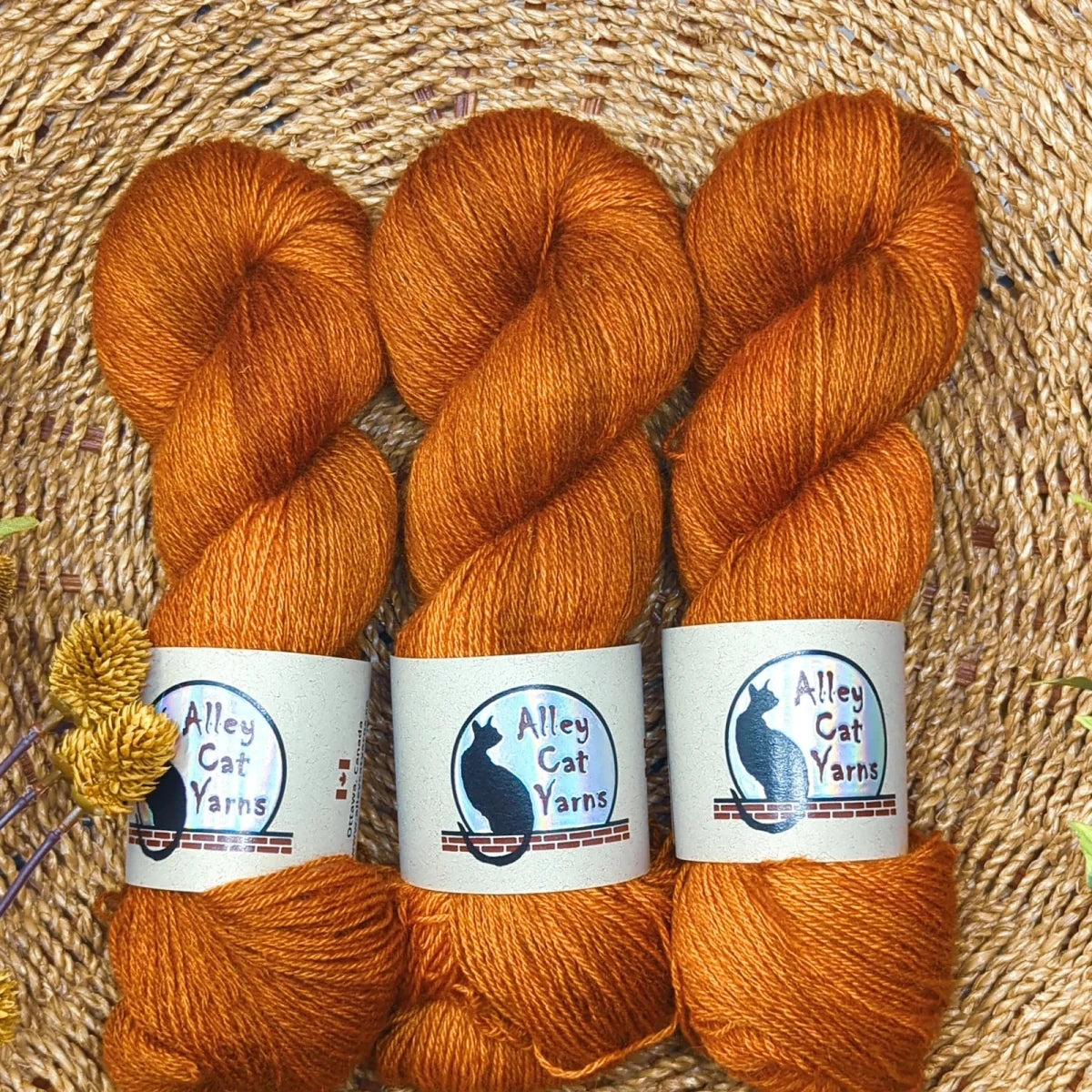 Pumpkin ontario sock by alley cat yarns at Wabi Sabi
