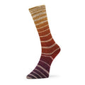 q60801 flare aurora sock by estelle yarns at Wabi Sabi