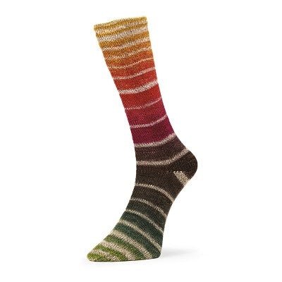 q60802 iridescent aurora sock by estelle yarns at Wabi Sabi
