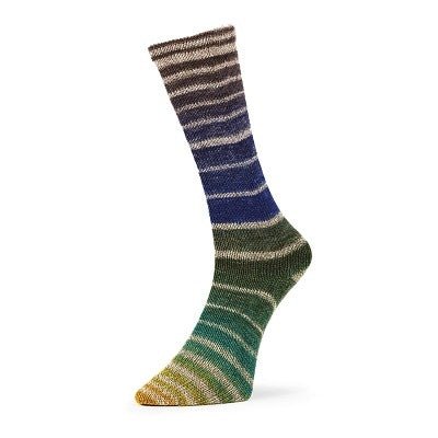 q60804 terra aurora sock by estelle yarns at Wabi Sabi