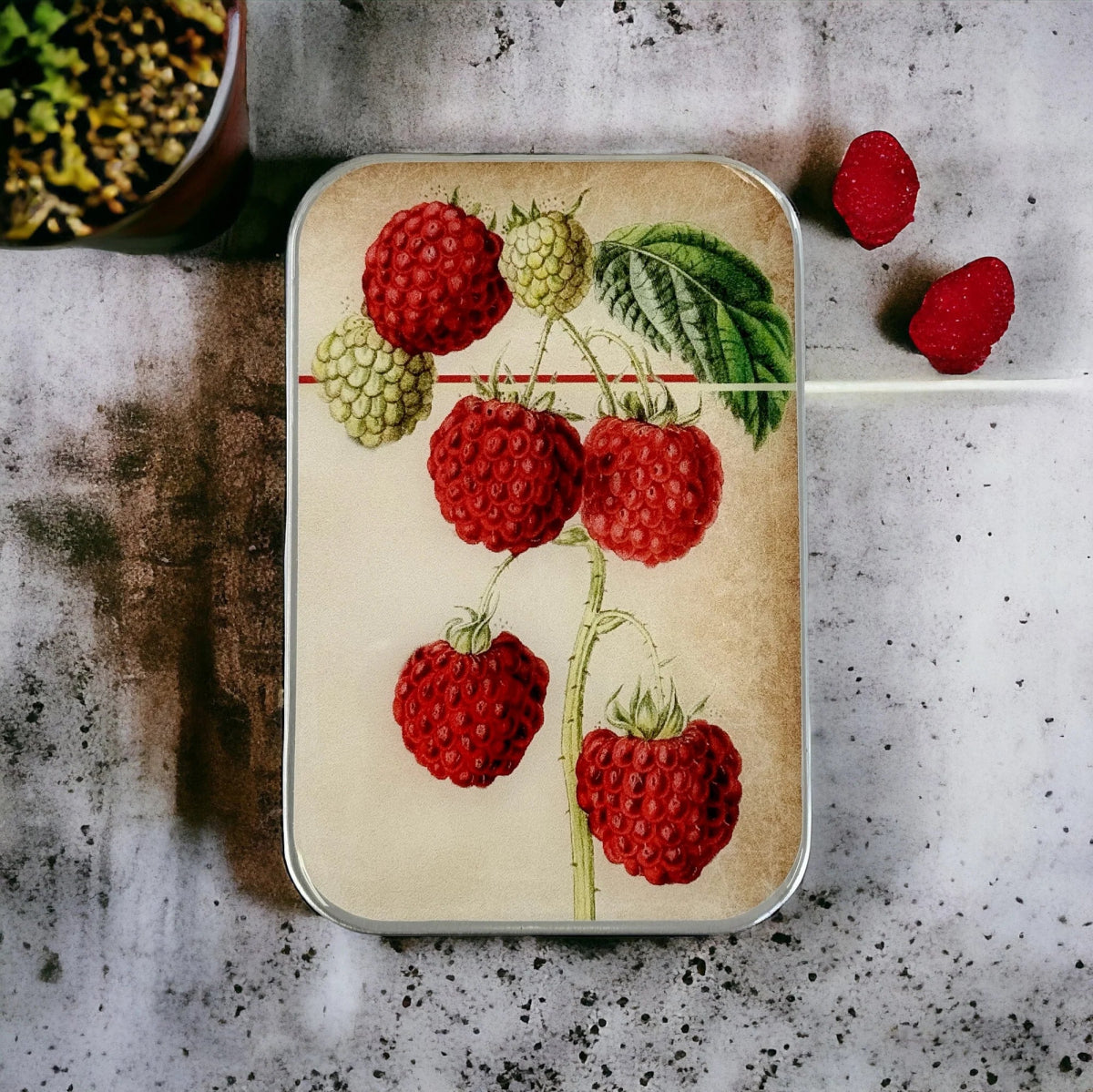 raspberries notion tins by firefly notes at Wabi Sabi