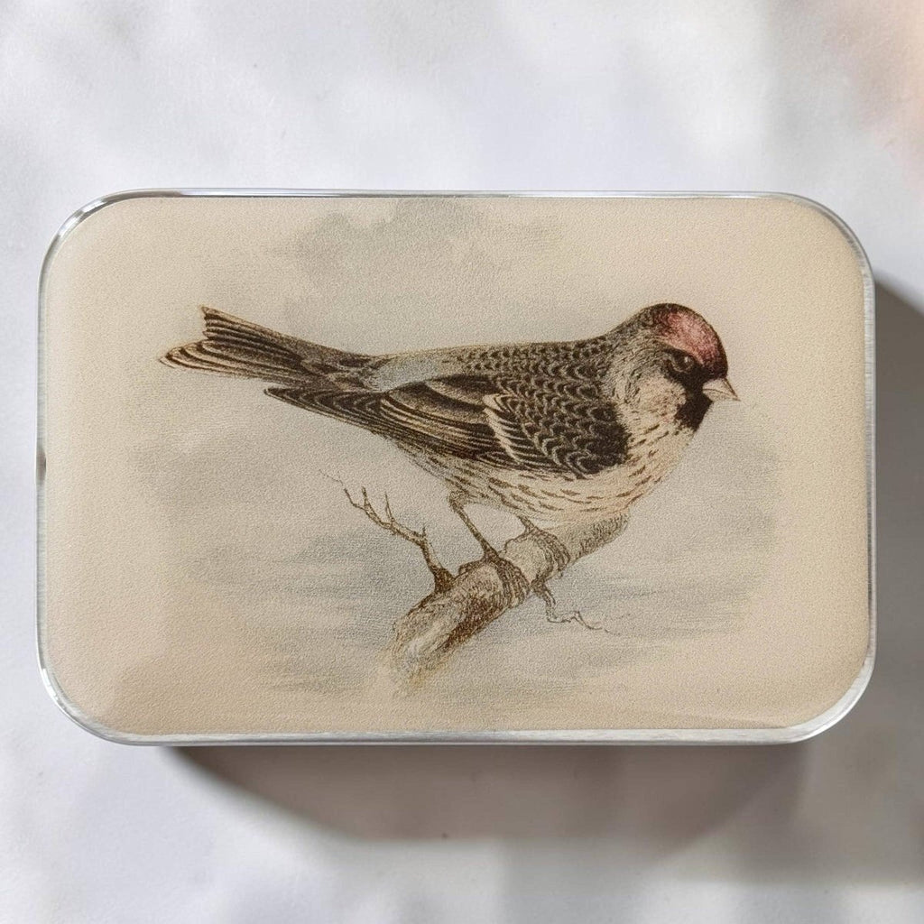 Redpoll Bird Notions Tin by Firefly Notes at Wabi Sabi