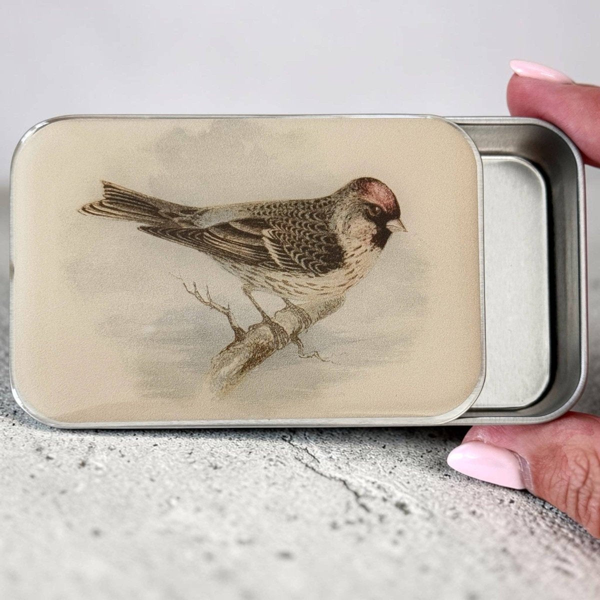 Redpoll Bird Notions Tin by Firefly Notes at Wabi Sabi