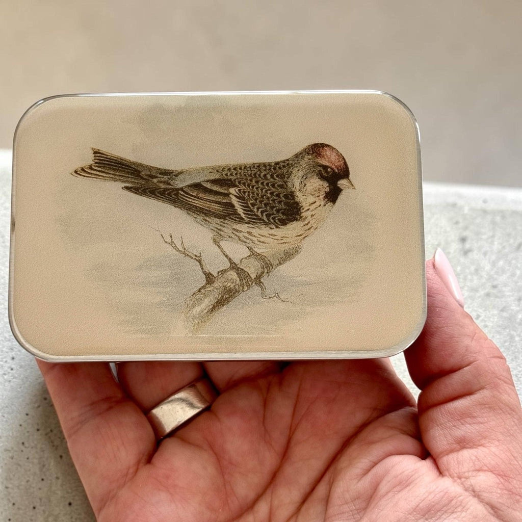 Redpoll Bird Notions Tin by Firefly Notes at Wabi Sabi
