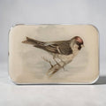 Redpoll Bird Notions Tin by Firefly Notes at Wabi Sabi
