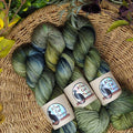 regrowth leo bfl sock by alley cat yarns at Wabi Sabi
