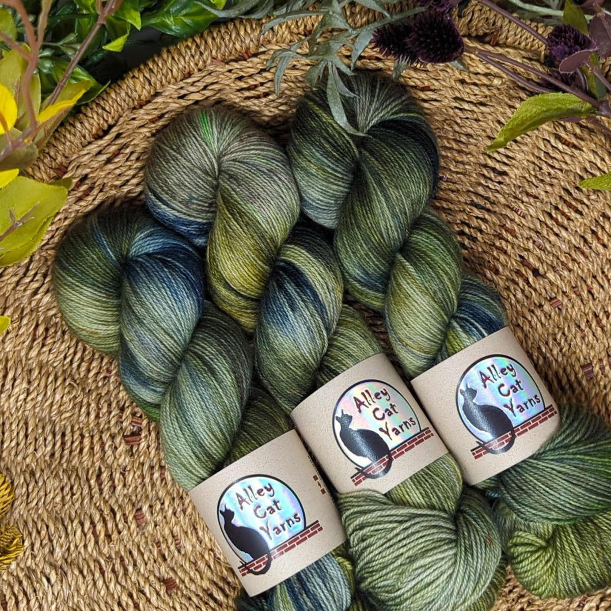 regrowth leo bfl sock by alley cat yarns at Wabi Sabi