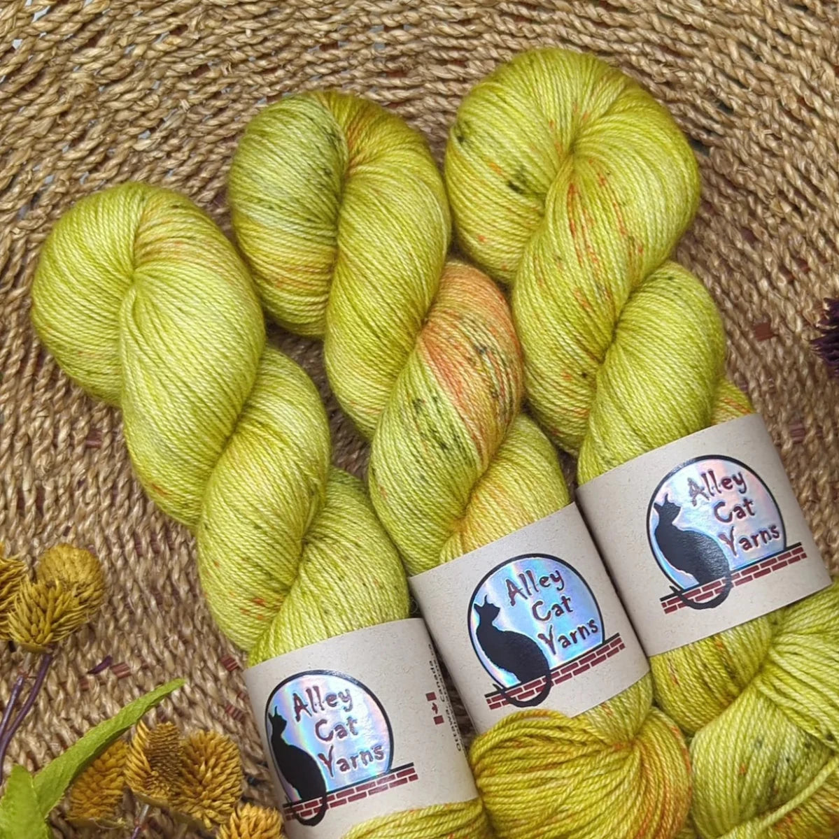 Reverie leo bfl by alley cat yarns at Wabi Sabi