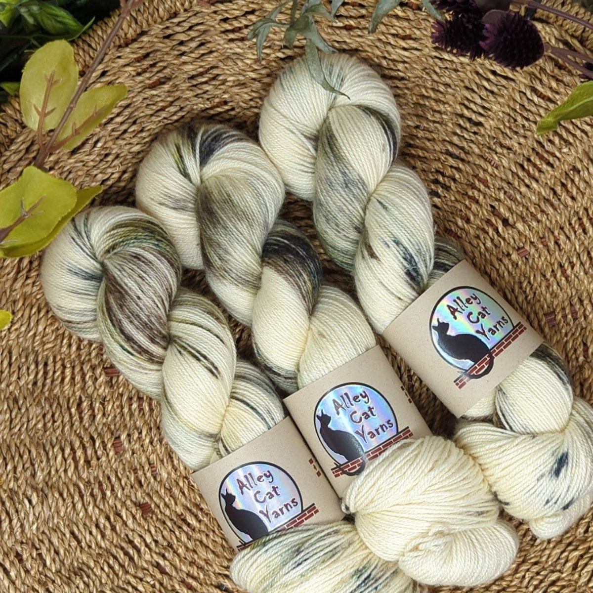 sapling leo bfl sock by alley cat yarns at Wabi Sabi