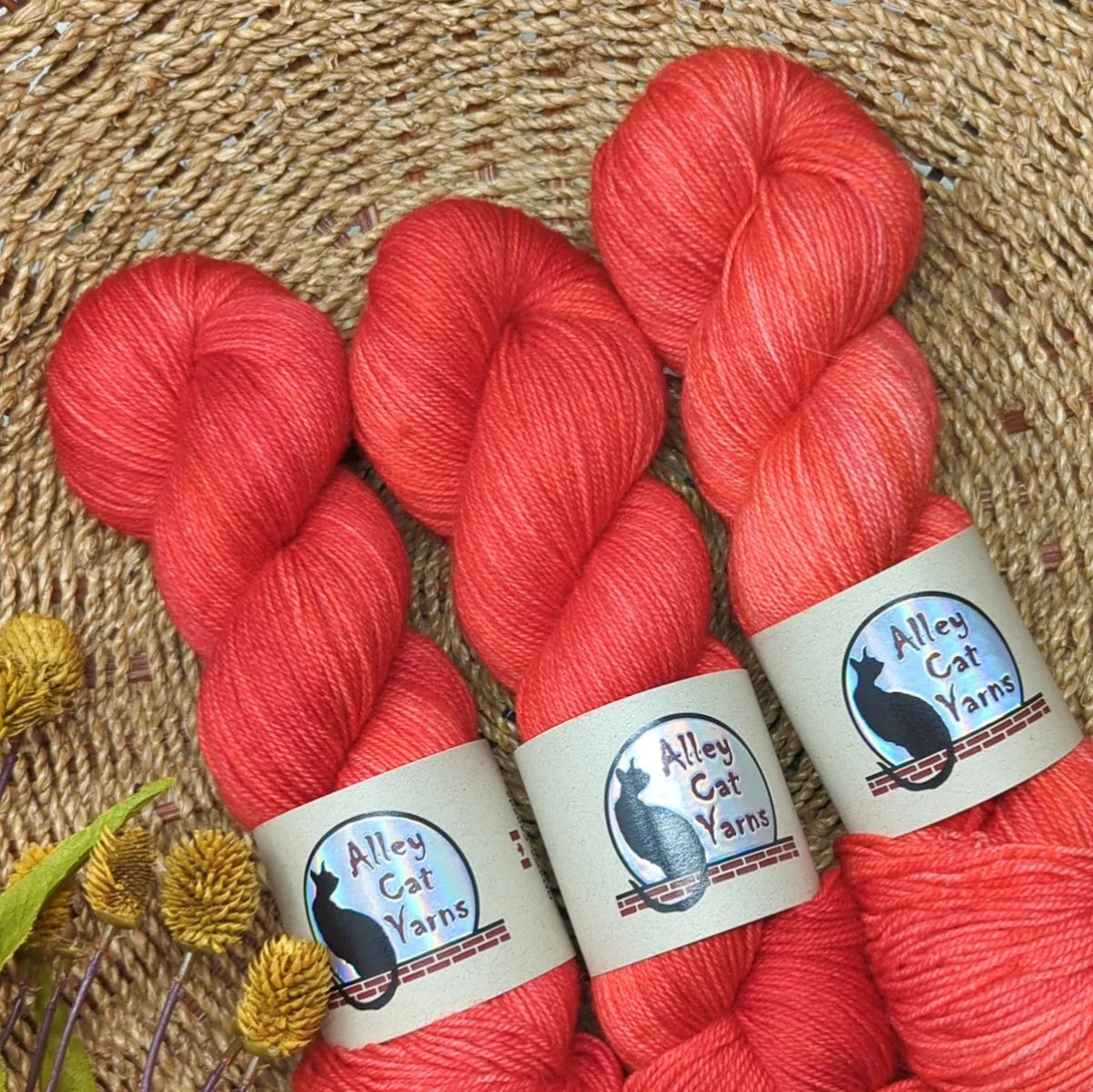 Shindig leo bfl by alley cat yarns at Wabi Sabi