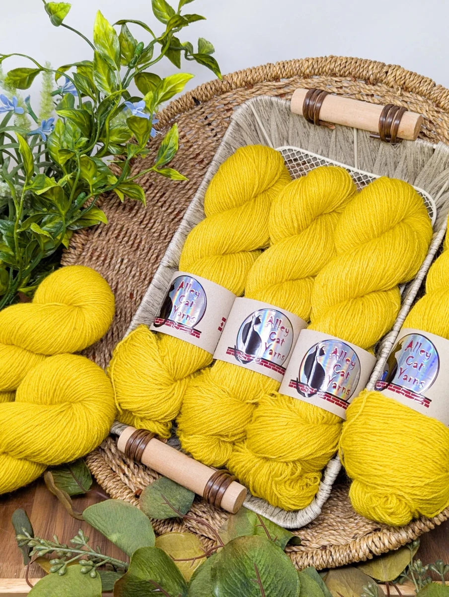 Sunshine ontario sock by alley cat yarns at Wabi Sabi