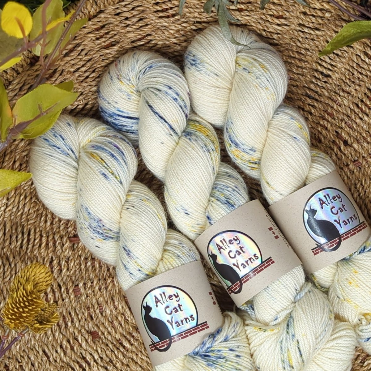 sunshower leo bfl sock by alley cat yarns at Wabi Sabi