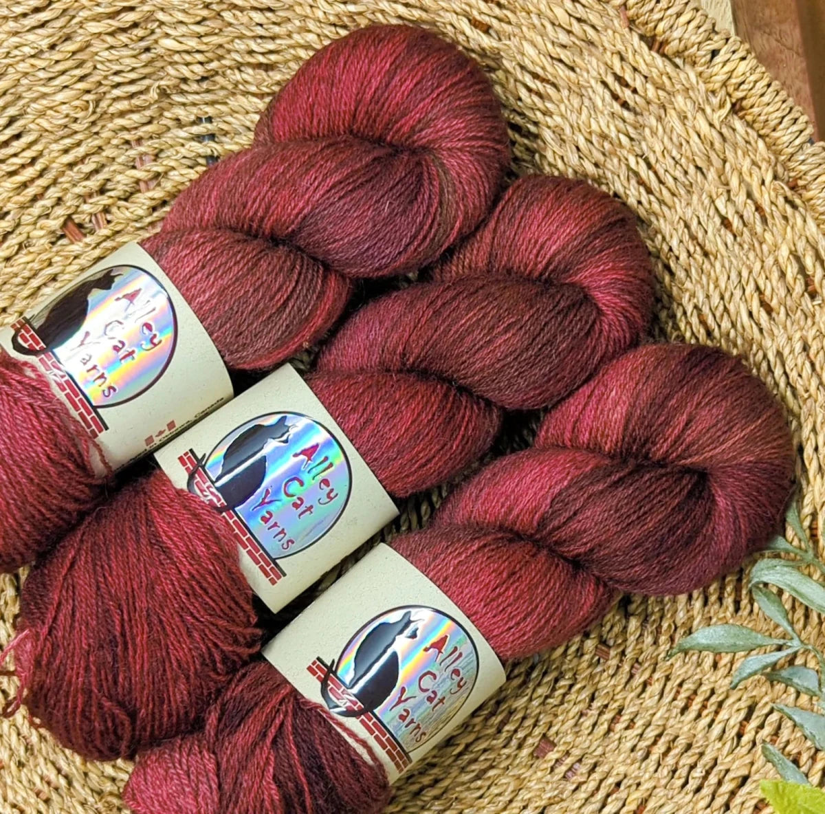 Vigour ontario sock by alley cat yarns at Wabi Sabi