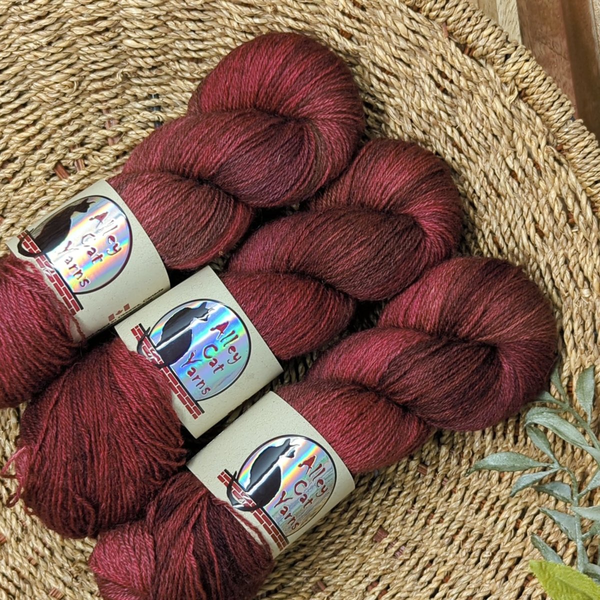'vigour ' ontario sock by alley cat yarns | Wabi Sabi