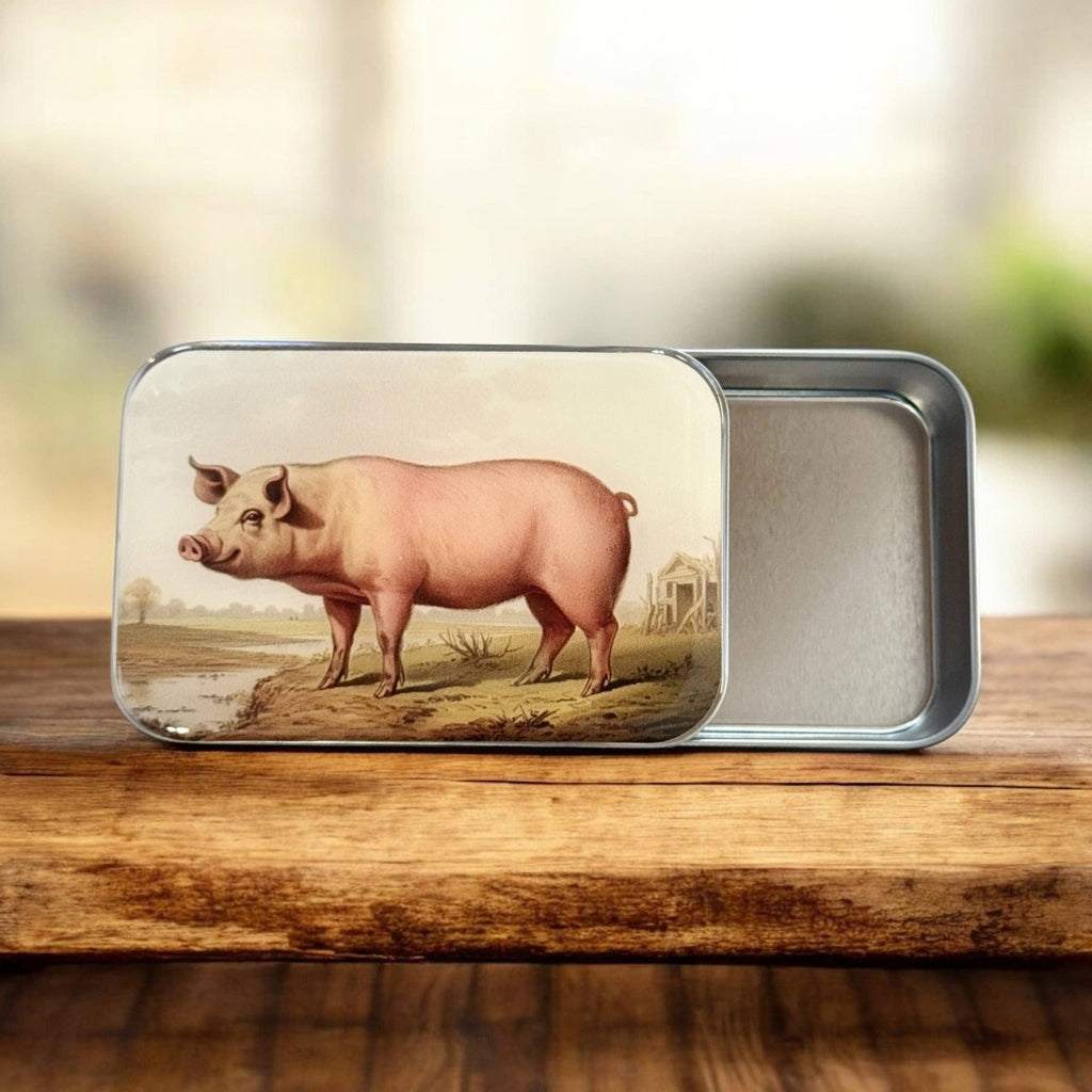 Vintage Pig Notions Tin by Firefly Notes at Wabi Sabi