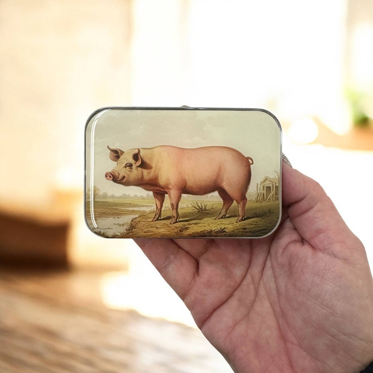 Vintage Pig Notions Tin by Firefly Notes at Wabi Sabi