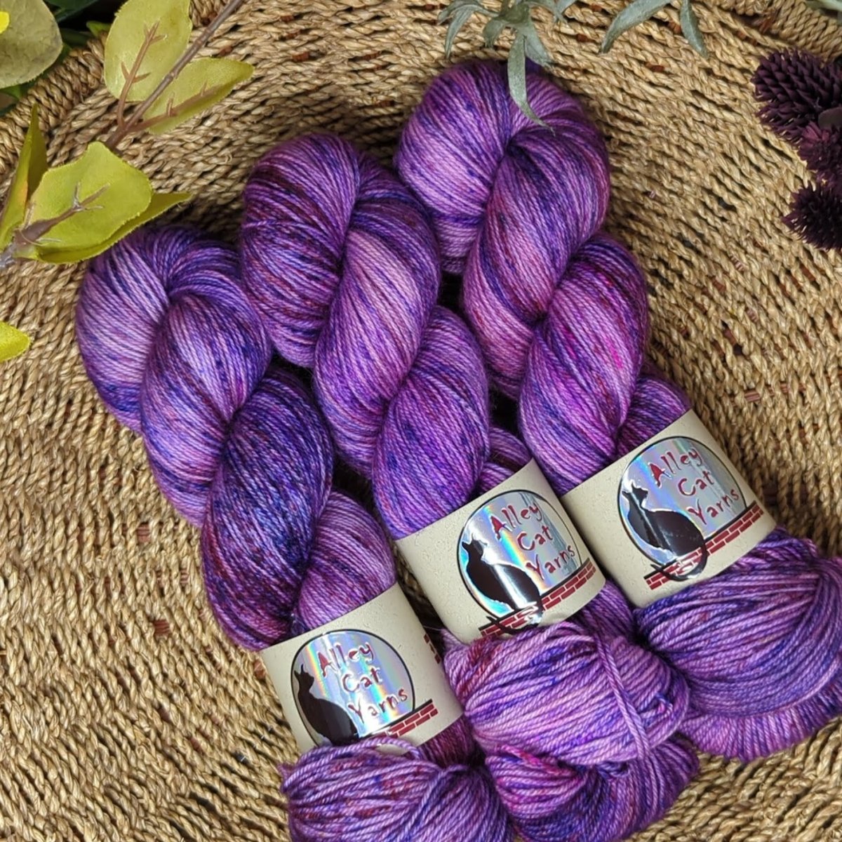 wildberry leo bfl sock by alley cat yarns at Wabi Sabi