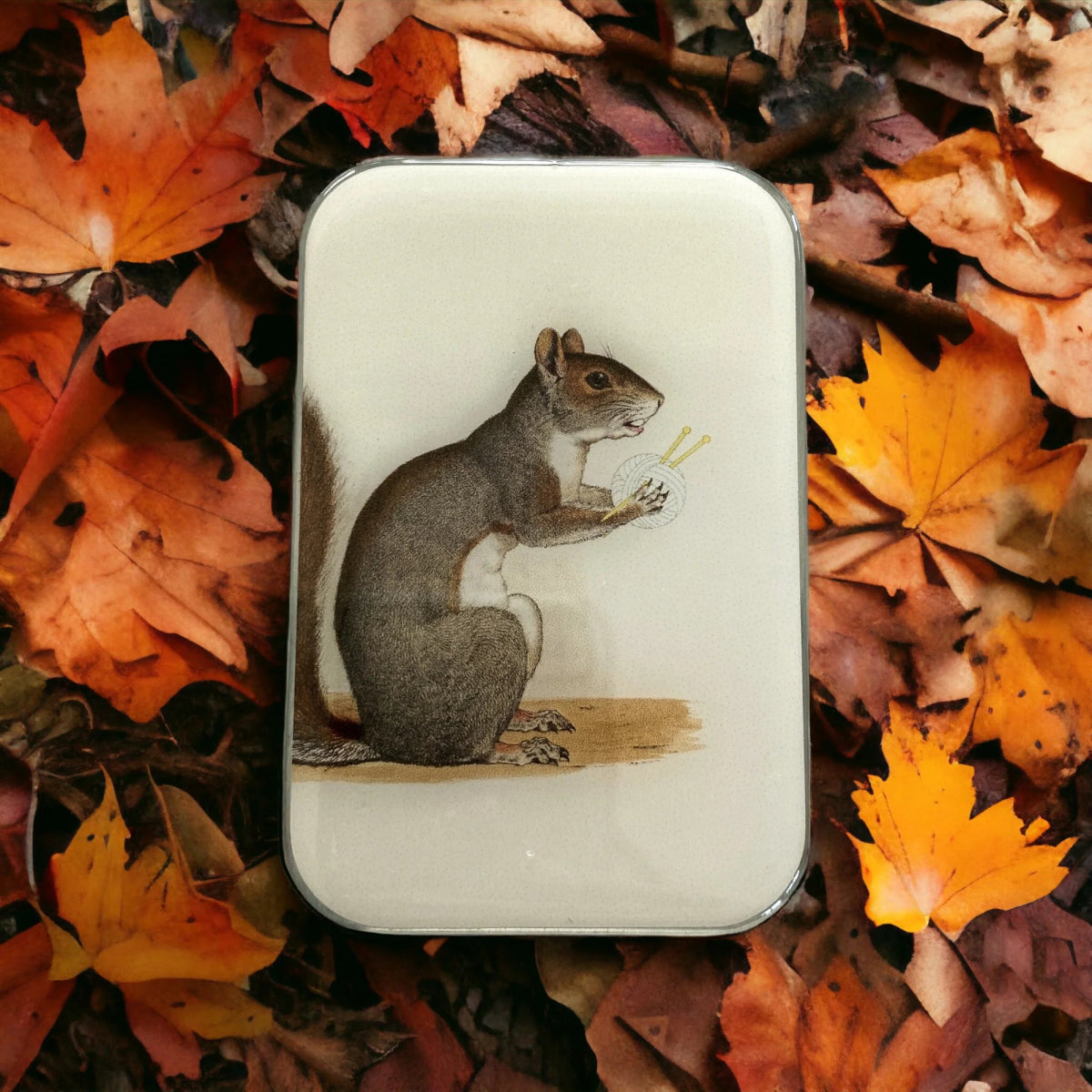 yarn squirrel notion tins by firefly notes at Wabi Sabi