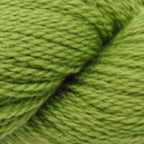 1027 turtle green 220 fingering by cascade yarns at Wabi Sabi