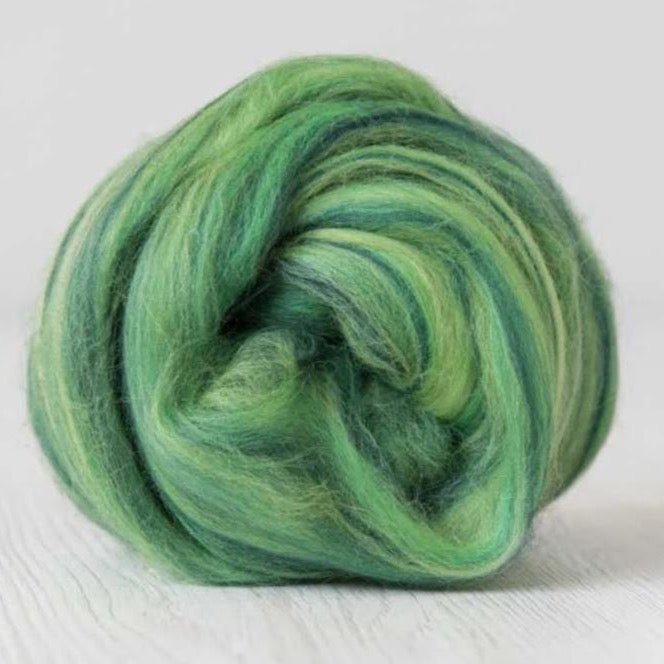 brasil merino multicolour roving by dyeing house gallery at Wabi Sabi