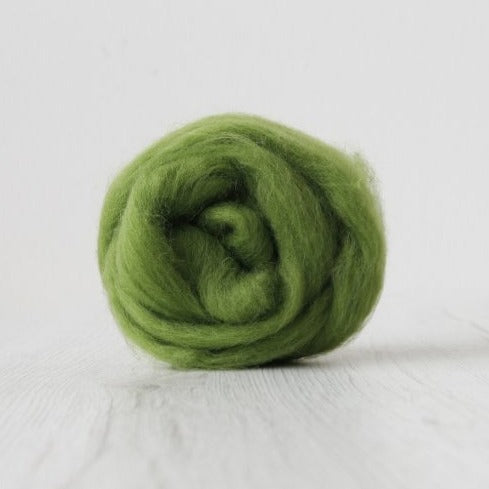 'leaf ' corriedale roving by gram by Ashford / DHG | Wabi Sabi