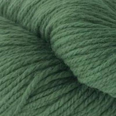 177 dill heirloom organic by etrofil at Wabi Sabi