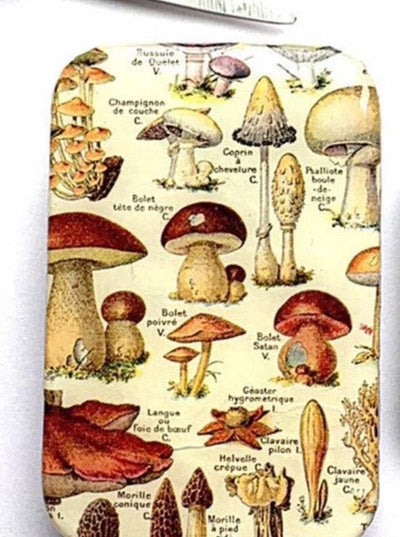 mushroom