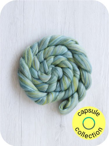 luna moth merino roving: multicolours by gram by dyeing house gallery at Wabi Sabi