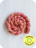 rosy maple moth merino roving: multicolours by gram by dyeing house gallery at Wabi Sabi